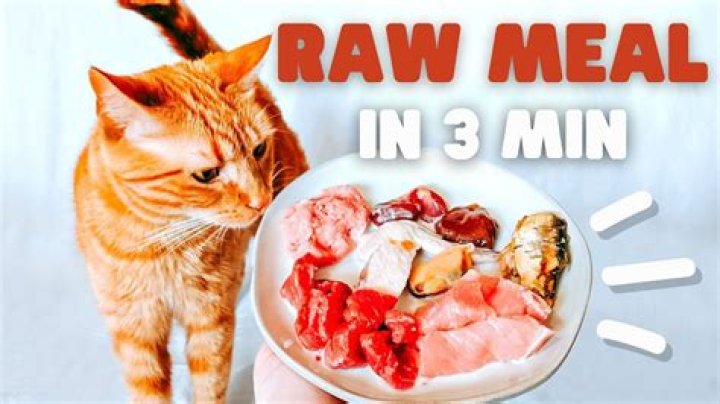 Can I give my cat raw giblets
