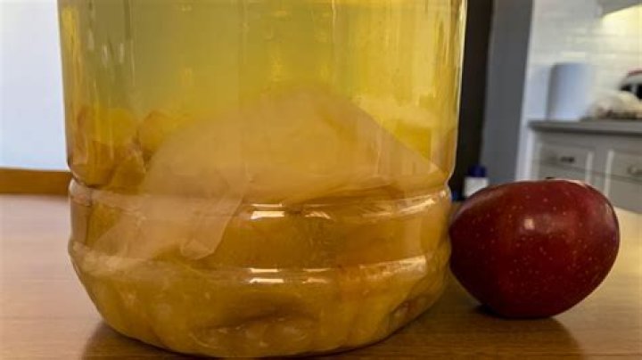 Can you eat the mother in vinegar