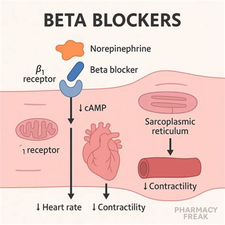 Do beta-blockers stop ejaculation