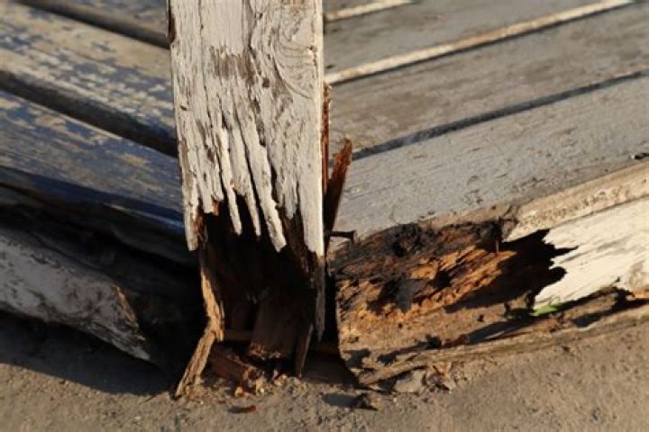 Does burning wood stop it rotting