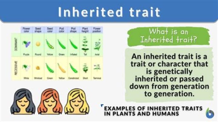 How are acquired traits inherited