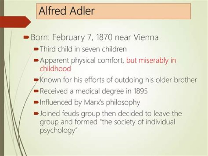 How was Adlerian theory developed