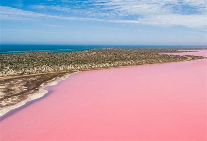 Is there an ocean with pink water