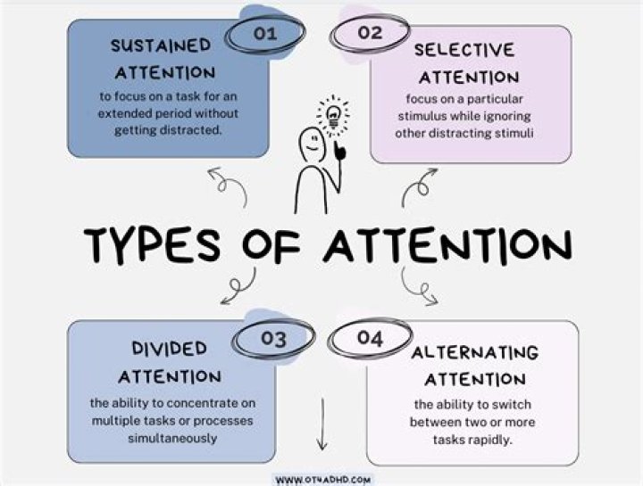 What are the 4 types of attention