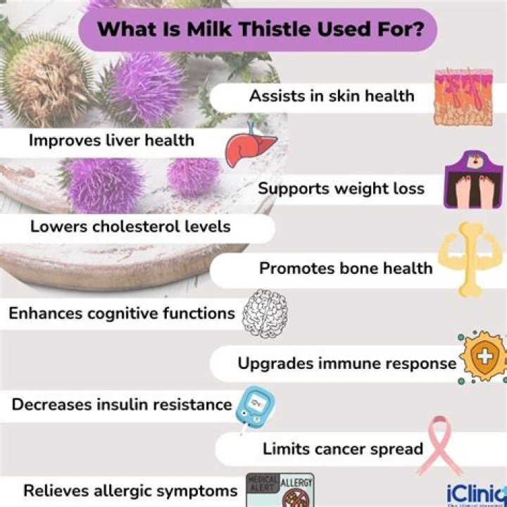 What color should milk thistle be