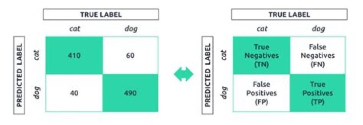 What does recall mean in politics