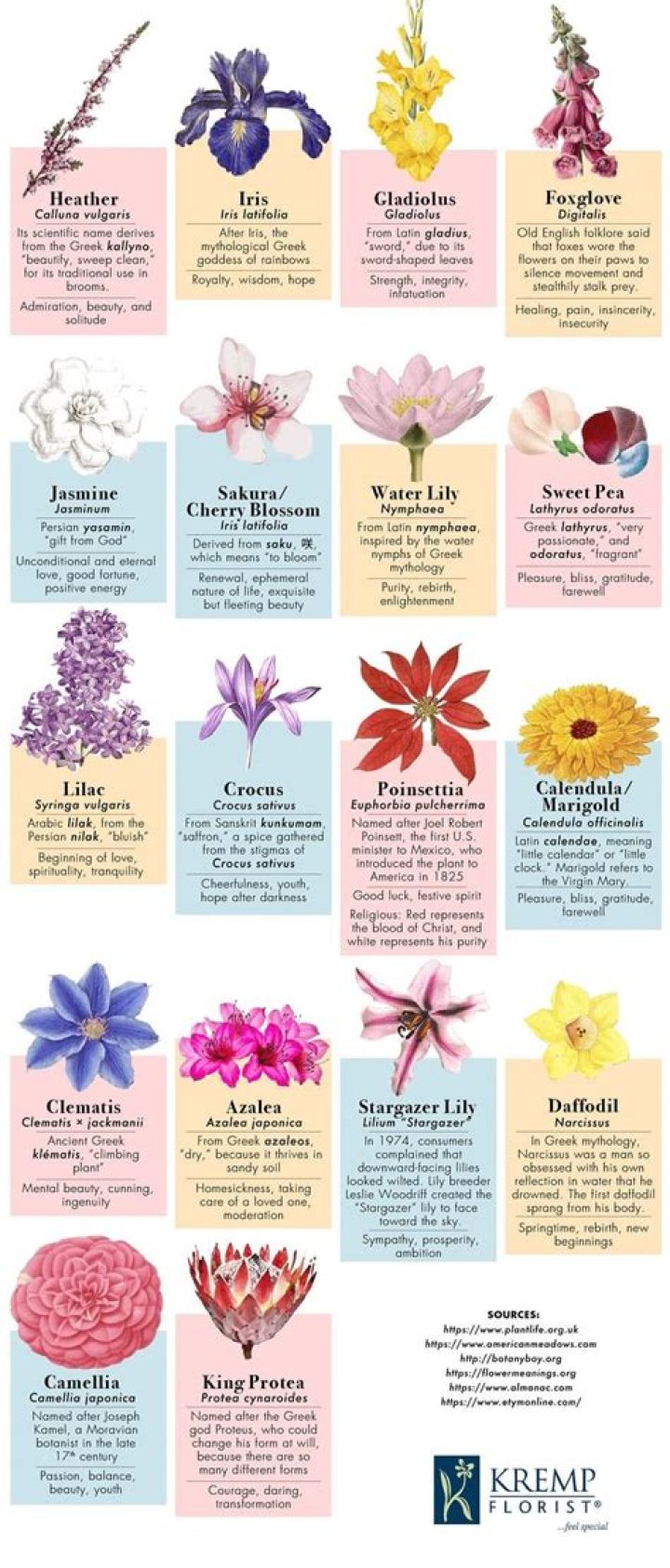 What flower represents graduation
