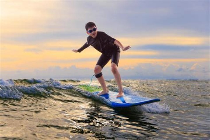 What is a rookie surfer called