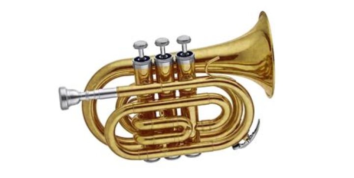 What is a small trumpet called