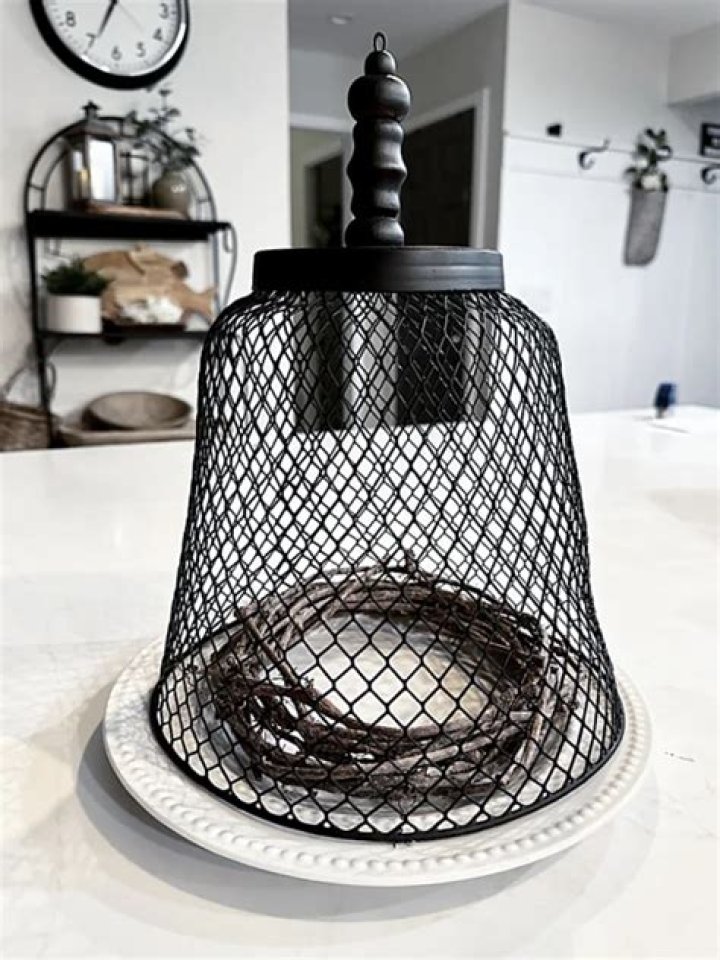 What is a wire cloche used for