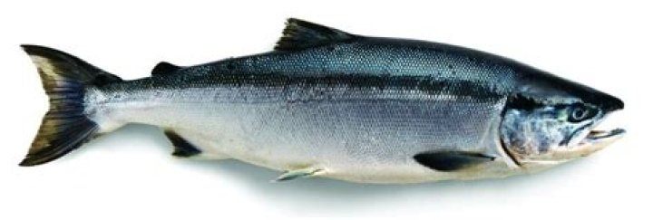 What is Alaskan sockeye salmon