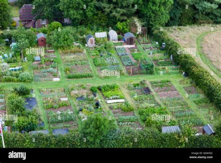 What is an allotment in the UK