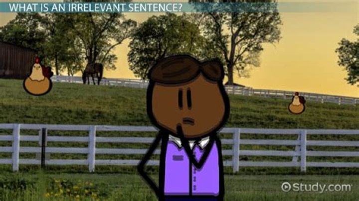 What is an irrelevant argument