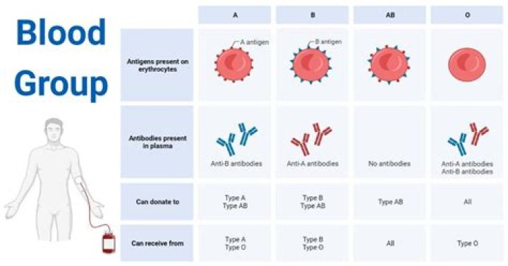 What is blood group A positive