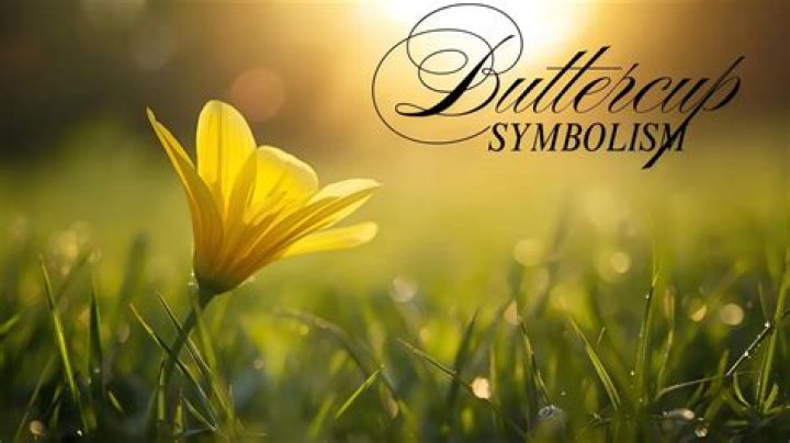 What is buttercups personality