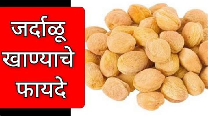 What is called Jardalu in English