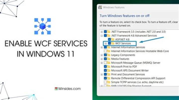 What is client endpoint in WCF