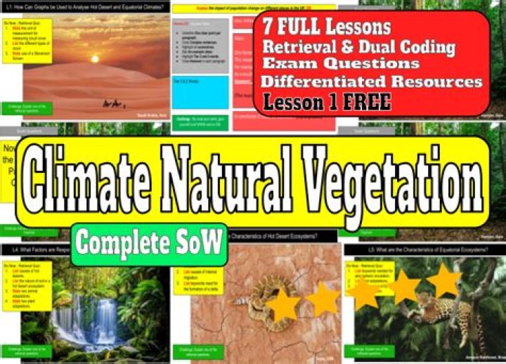 What is climate and vegetation