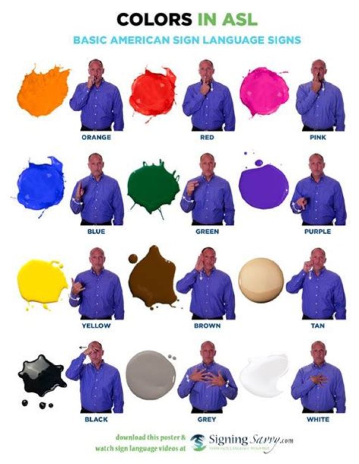 What is color in sign language