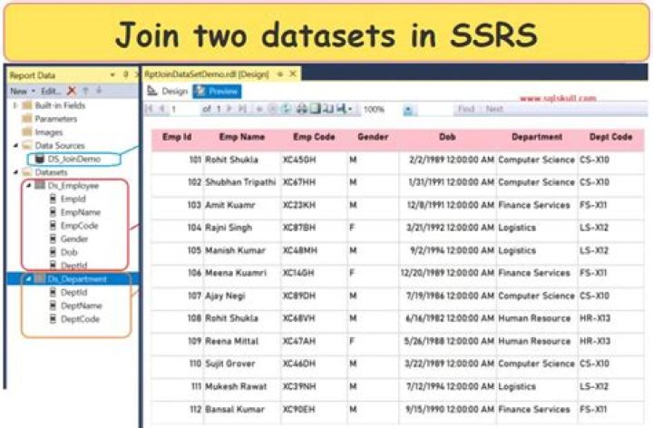 What is dataset in SSRS report