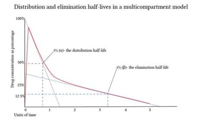 What is distribution half life
