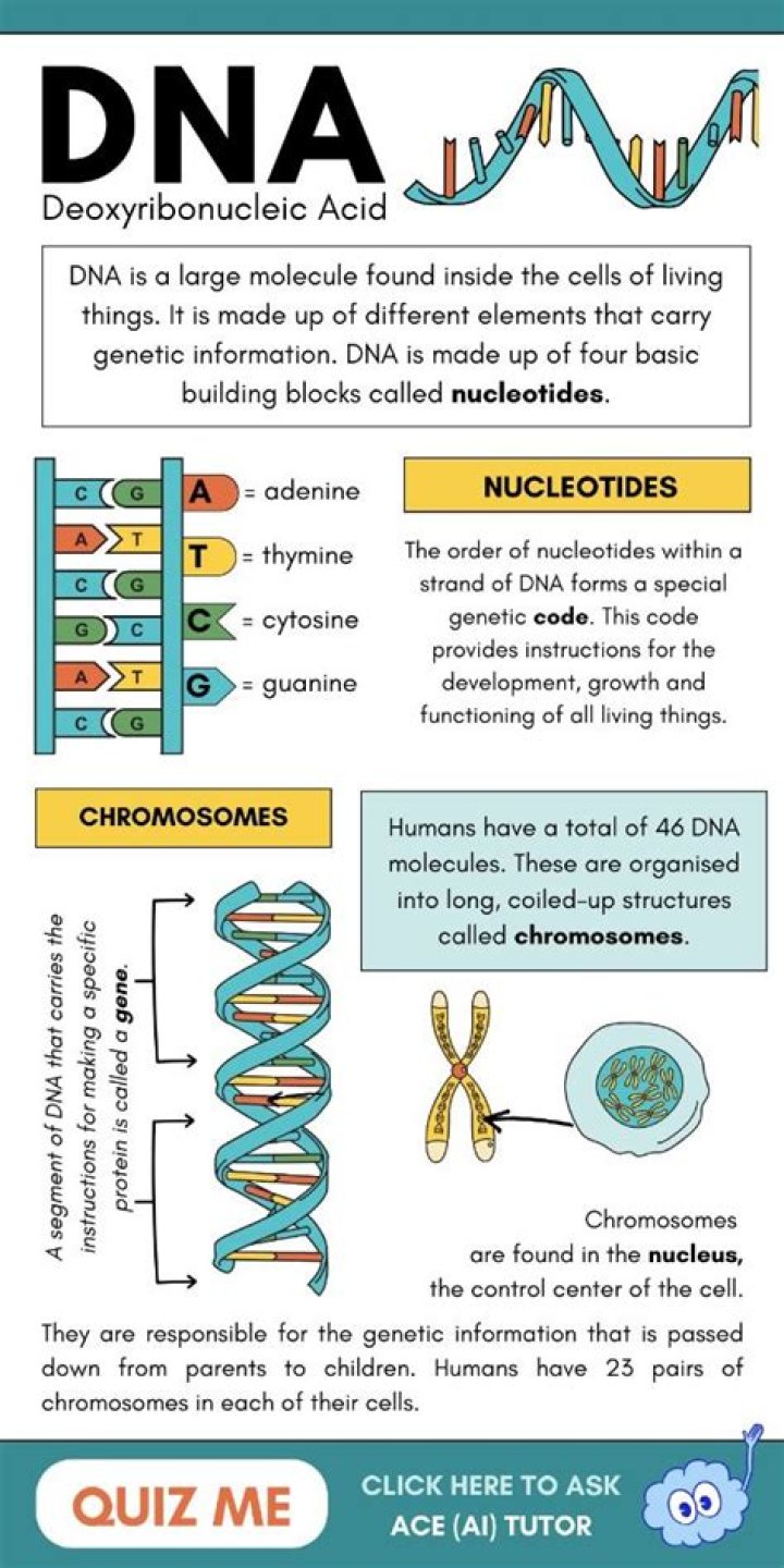 What is DNA very good at doing