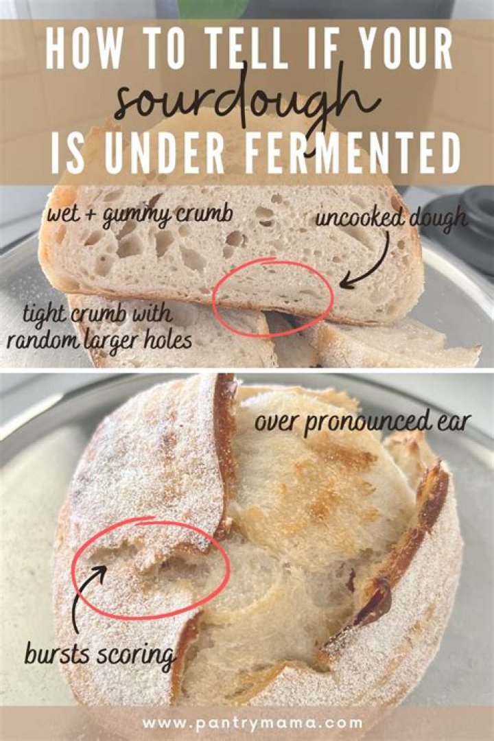 What is fermented dough called