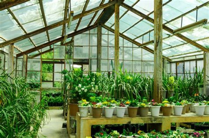 What is green house for plants