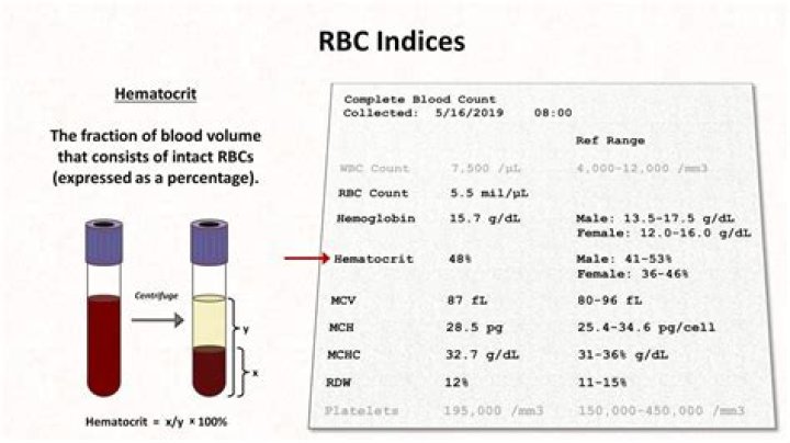 What is high RBC in blood test