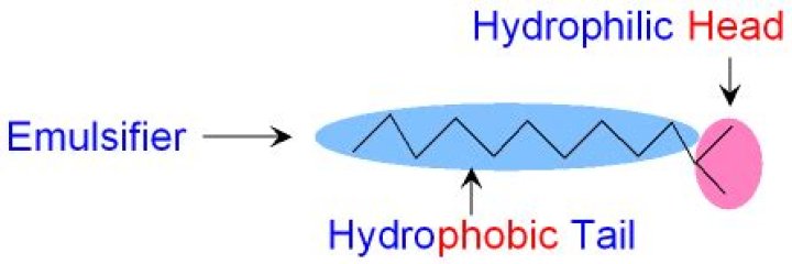 What is hydrophilic emulsifier
