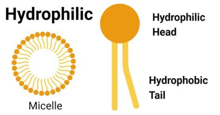 What is hydrophilic petrolatum