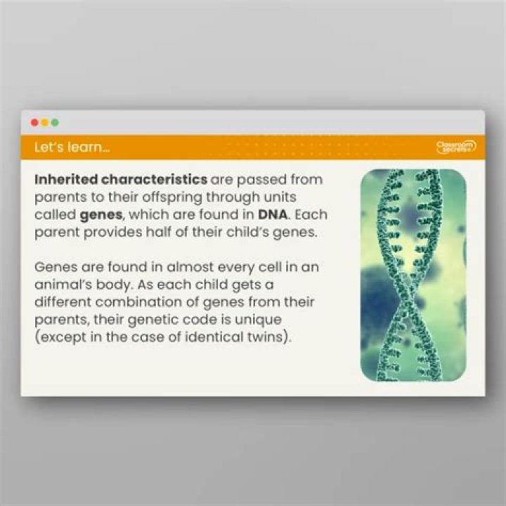 What is inheritance and variation