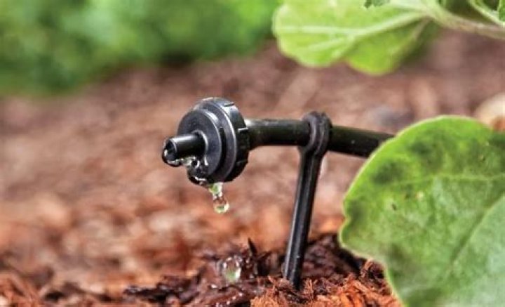 What is inline drip irrigation