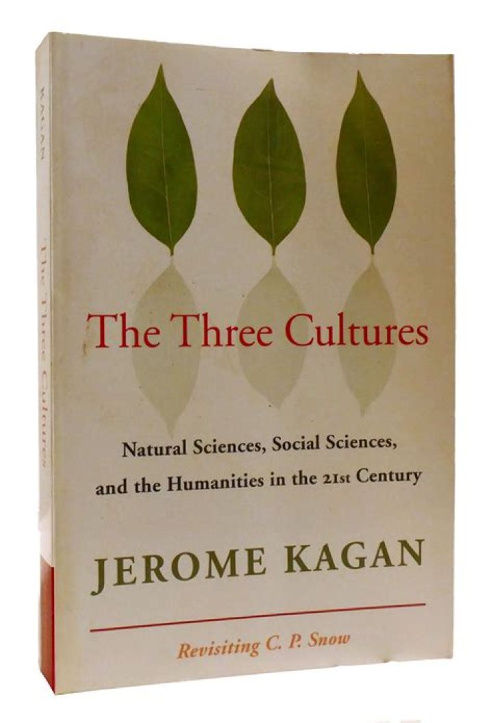 What is Jerome Kagan known for