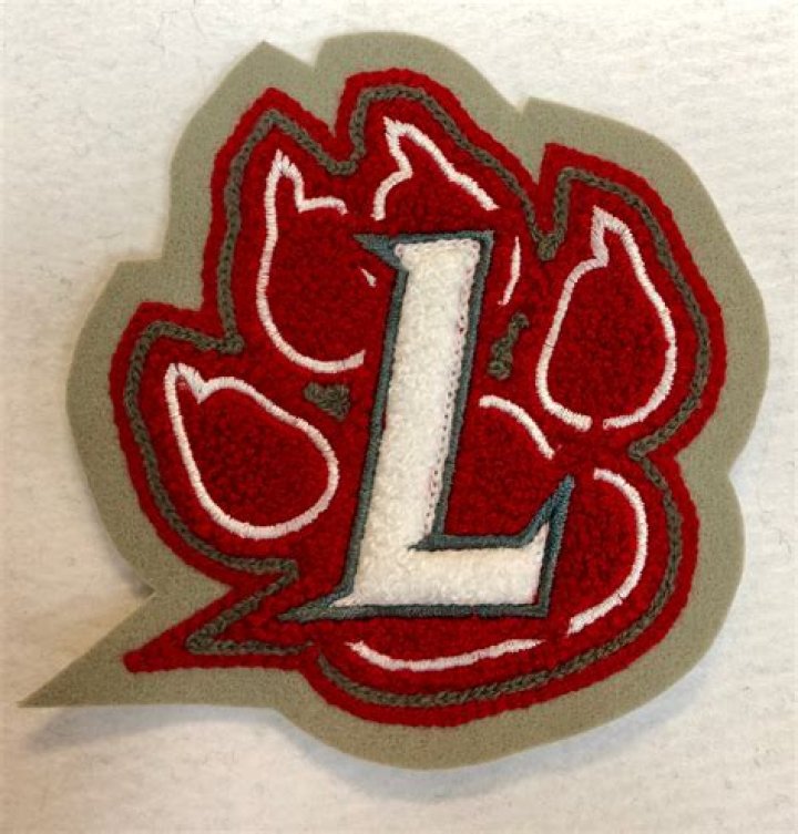 What is Lee High School mascot