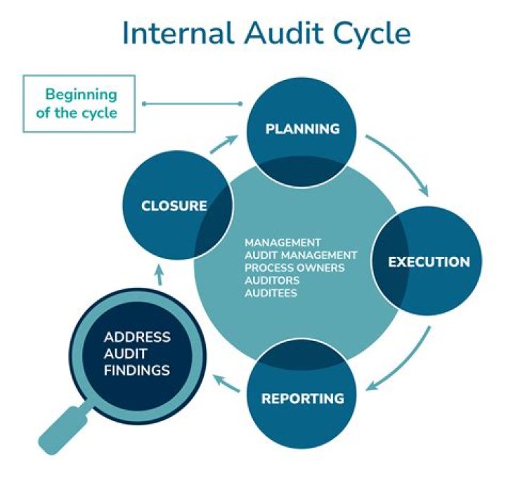 What is monitoring in auditing