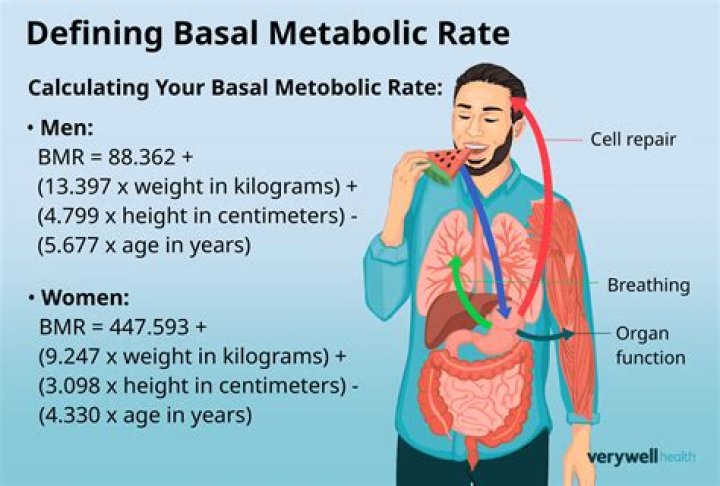 What is my base metabolic rate
