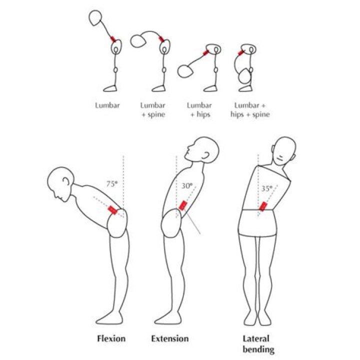 What is normal lumbar rotation