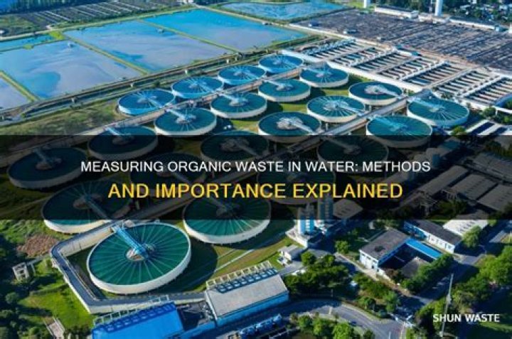 What is organic waste in water