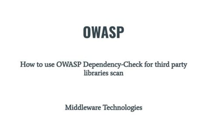 What is Owasp dependency check