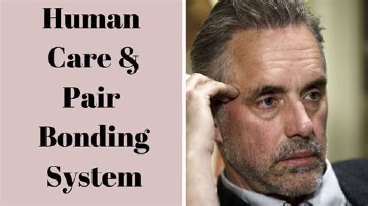 What is pair bonding in humans