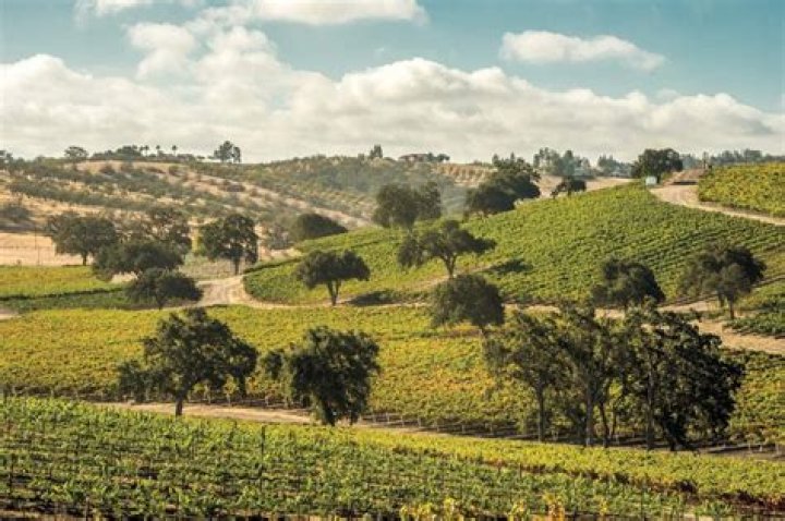 What is Paso Robles famous for