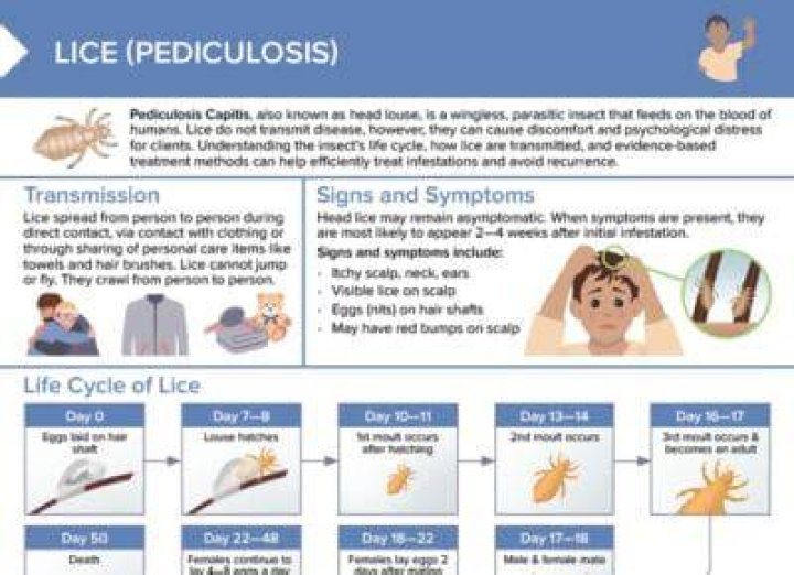 What is prevention of pediculosis