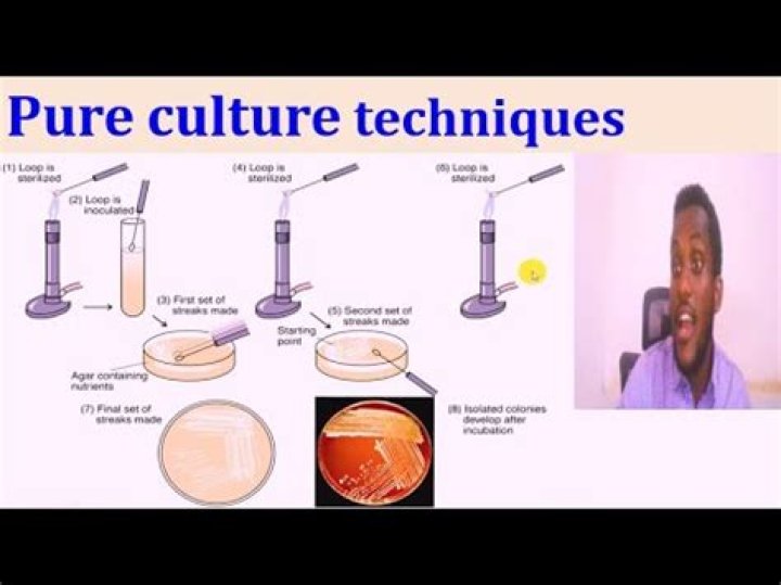What is pure culture technique