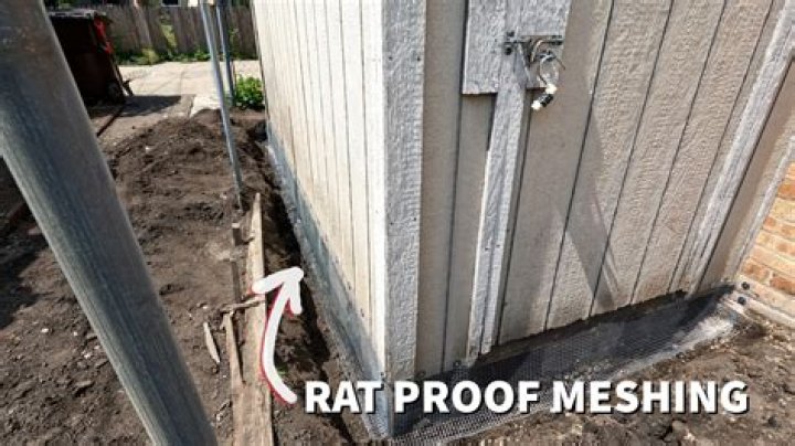 What is rat guard on pole barn