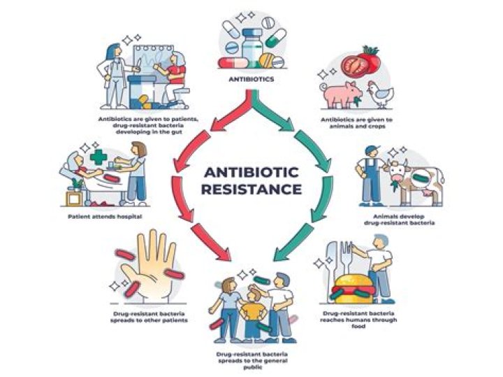 What is resistance in medicine