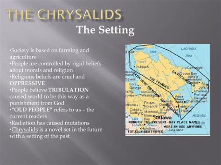 What is Rigo in the Chrysalids