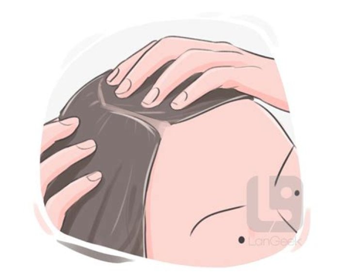 What is the full meaning of scalp