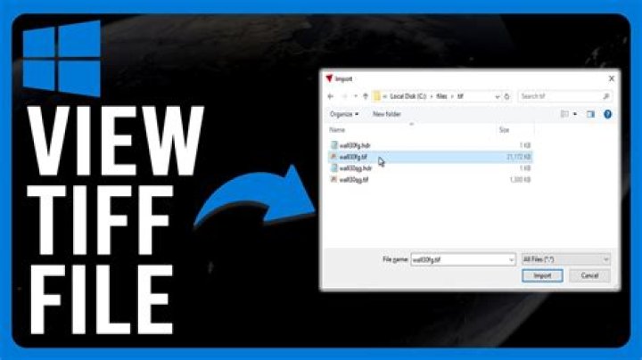 What program will open a TIF file