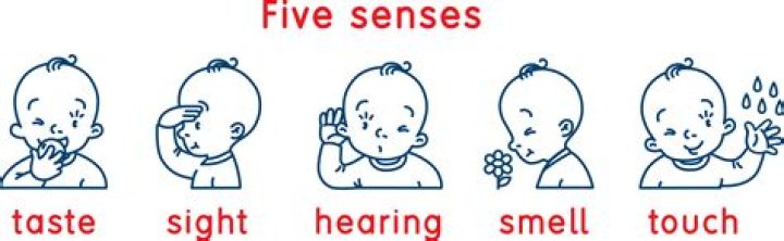 Why is taste important for babies